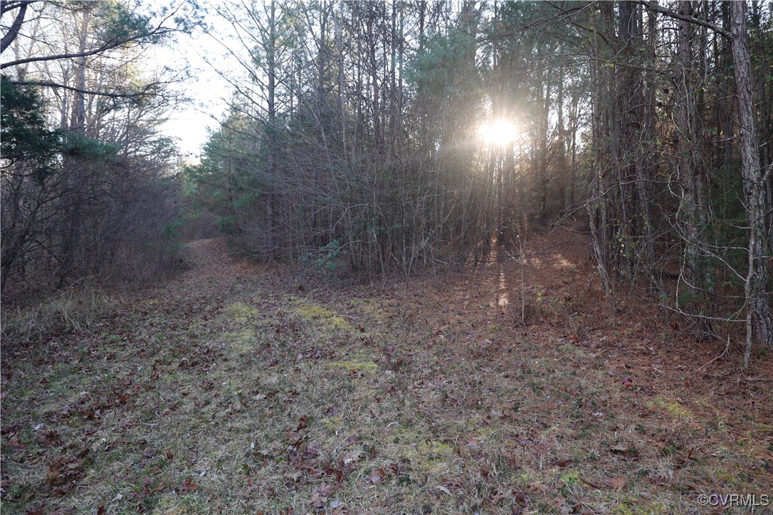 2524 Hayes Mill Road Baskerville, VA 23915 - Photo 17 of 50 Gallery Image 17