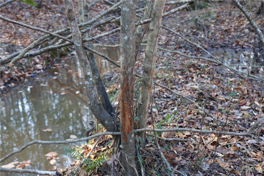 2524 Hayes Mill Road Baskerville, VA 23915 - Photo 20 of 50 Gallery Image 20