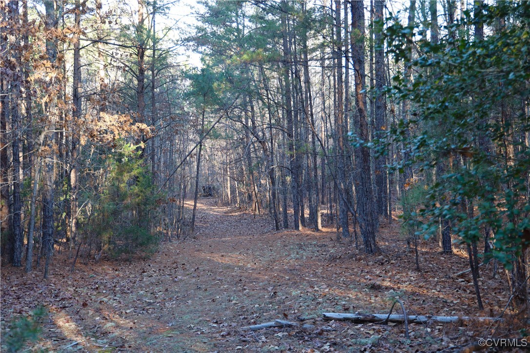 2524 Hayes Mill Road Baskerville, VA 23915 - Photo 21 of 50 Gallery Image 21