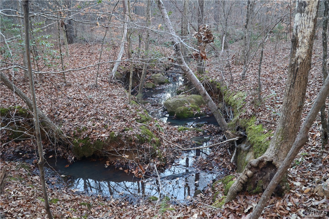 2524 Hayes Mill Road Baskerville, VA 23915 - Photo 22 of 50 Gallery Image 22