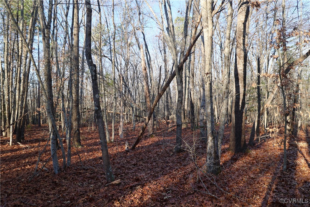 2524 Hayes Mill Road Baskerville, VA 23915 - Photo 23 of 50 Gallery Image 23