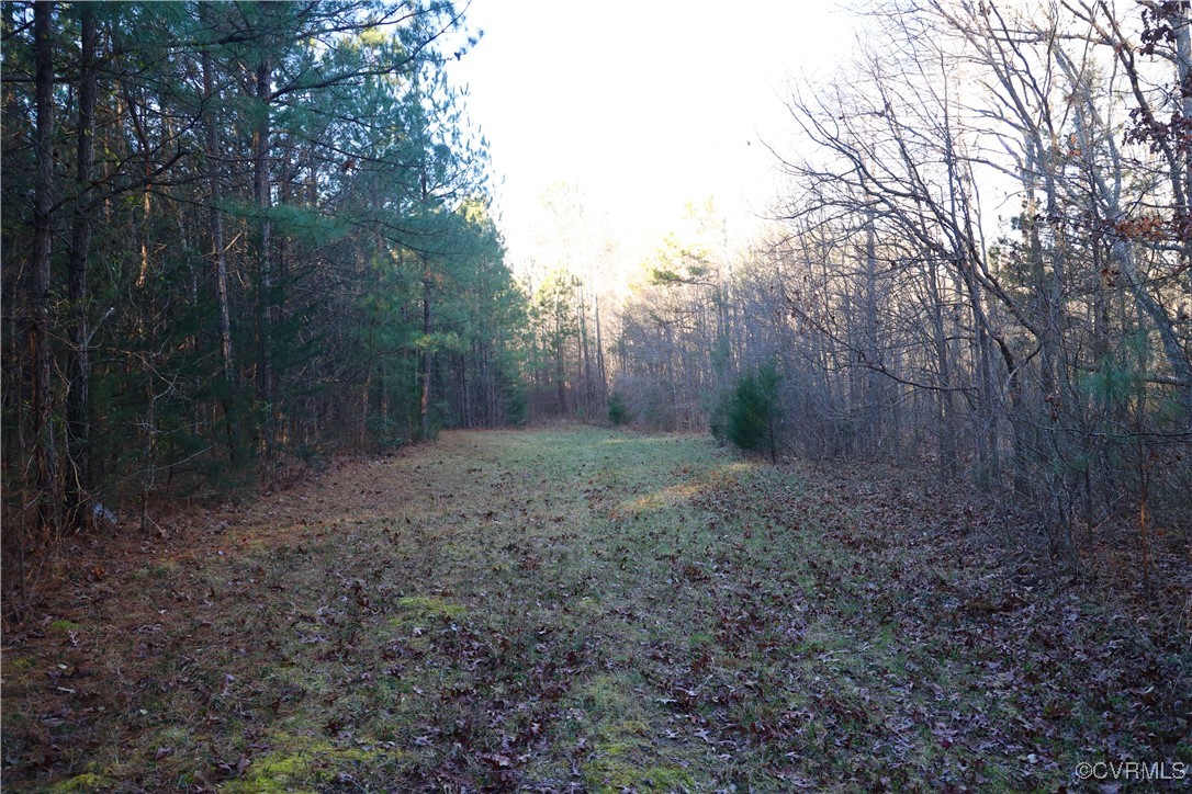 2524 Hayes Mill Road Baskerville, VA 23915 - Photo 24 of 50 Gallery Image 24