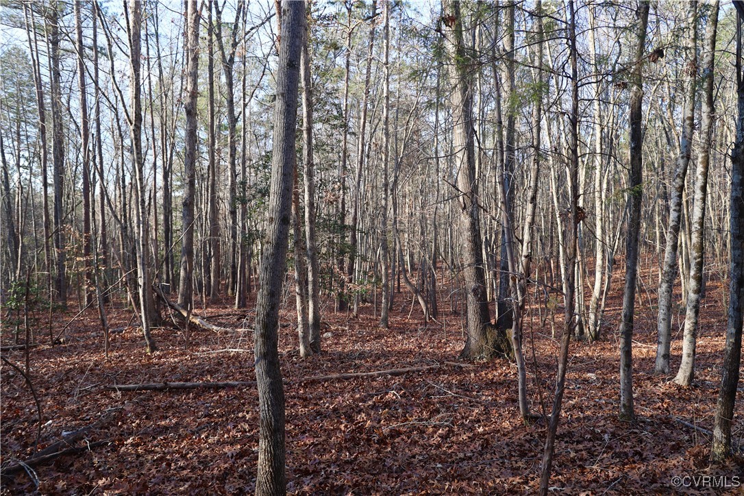2524 Hayes Mill Road Baskerville, VA 23915 - Photo 25 of 50 Gallery Image 25