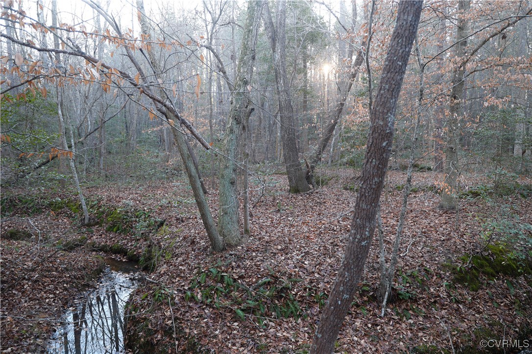 2524 Hayes Mill Road Baskerville, VA 23915 - Photo 26 of 50 Gallery Image 26