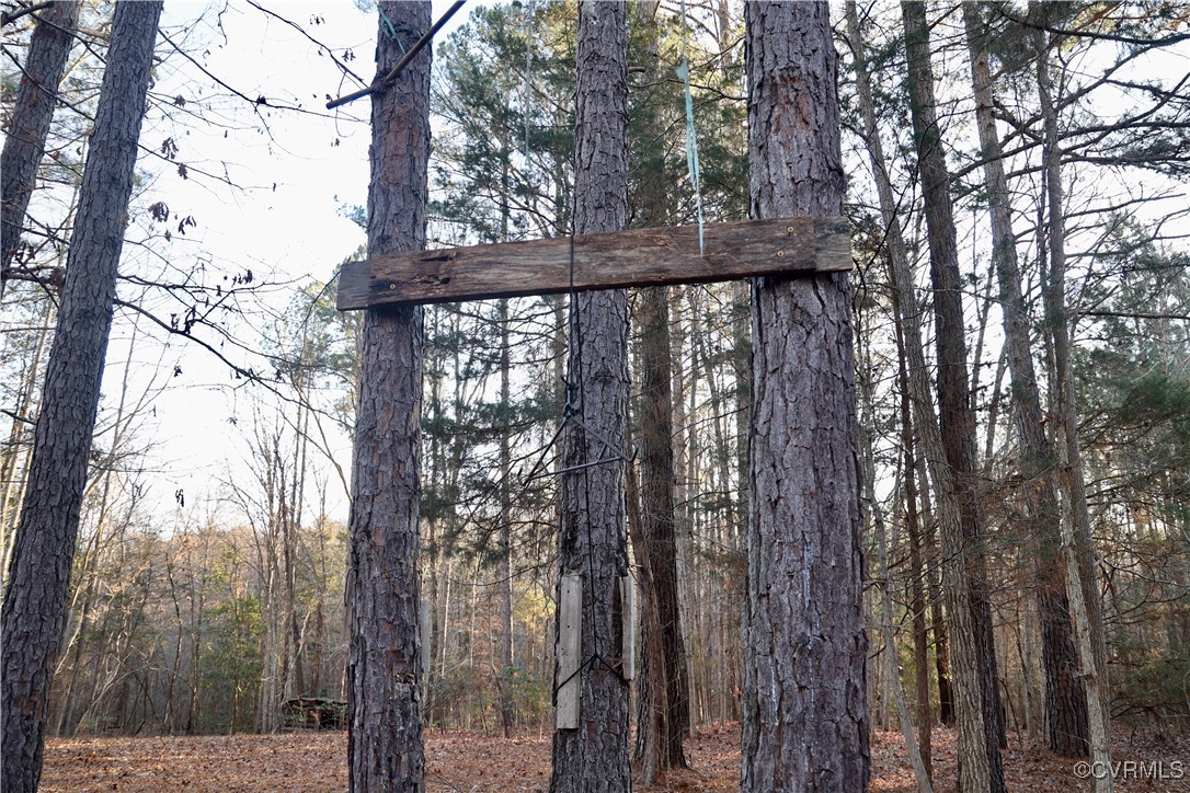 2524 Hayes Mill Road Baskerville, VA 23915 - Photo 27 of 50 Gallery Image 27