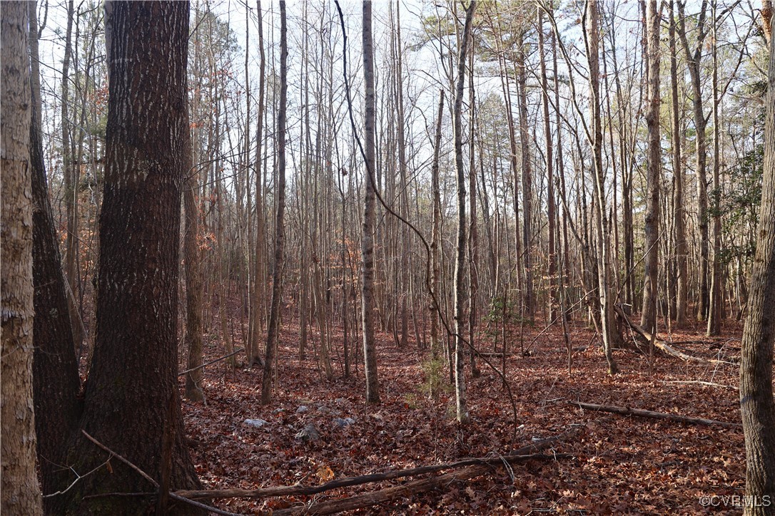 2524 Hayes Mill Road Baskerville, VA 23915 - Photo 28 of 50 Gallery Image 28