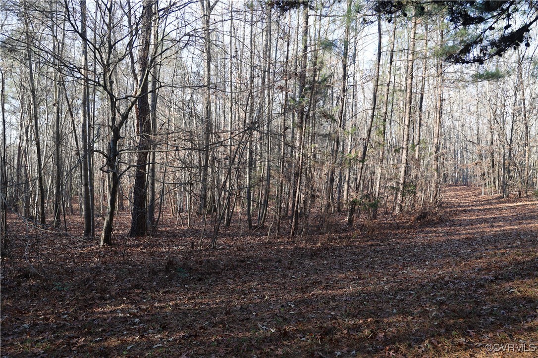 2524 Hayes Mill Road Baskerville, VA 23915 - Photo 29 of 50 Gallery Image 29