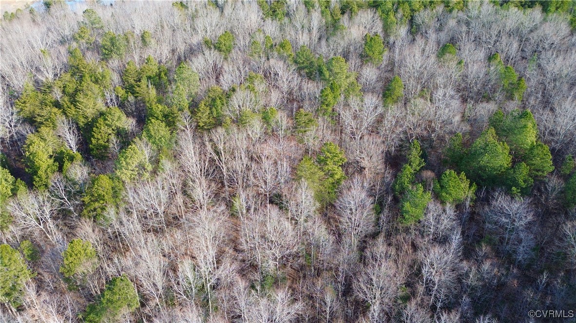 2524 Hayes Mill Road Baskerville, VA 23915 - Photo 30 of 50 Gallery Image 30