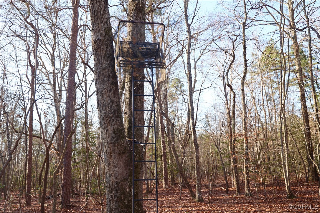 2524 Hayes Mill Road Baskerville, VA 23915 - Photo 3 of 50 Gallery Image 3