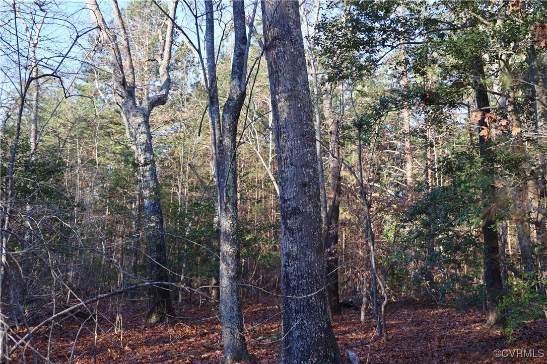2524 Hayes Mill Road Baskerville, VA 23915 - Photo 34 of 50 Gallery Image 34