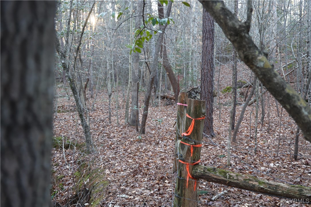 2524 Hayes Mill Road Baskerville, VA 23915 - Photo 35 of 50 Gallery Image 35
