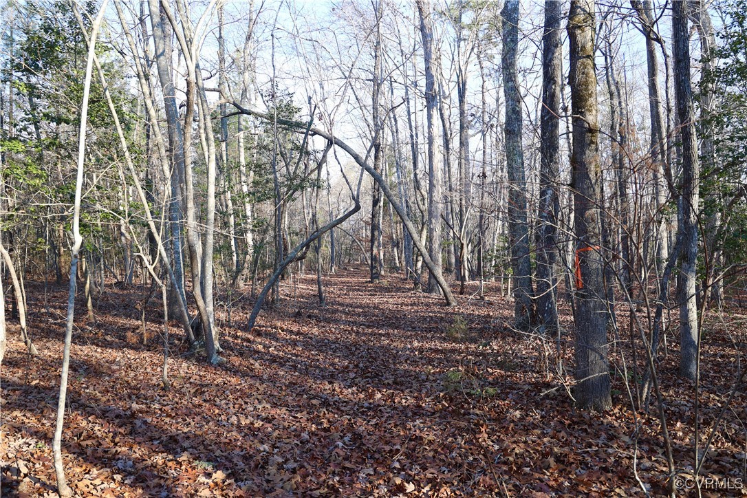 2524 Hayes Mill Road Baskerville, VA 23915 - Photo 37 of 50 Gallery Image 37