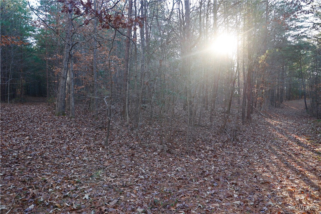 2524 Hayes Mill Road Baskerville, VA 23915 - Photo 39 of 50 Gallery Image 39