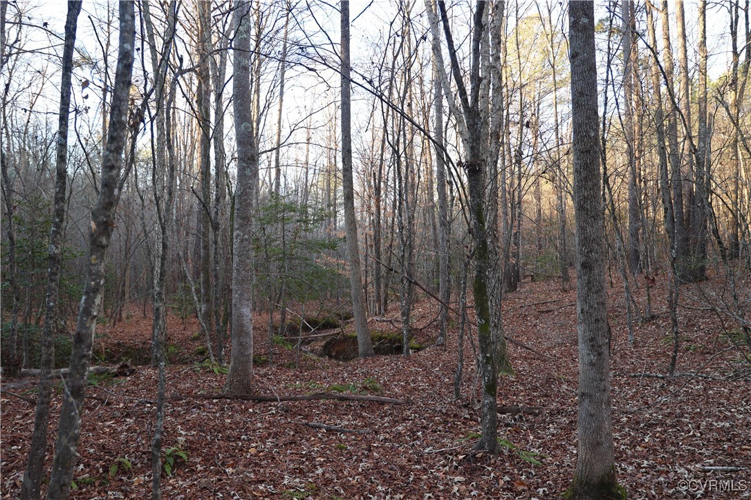 2524 Hayes Mill Road Baskerville, VA 23915 - Photo 40 of 50 Gallery Image 40