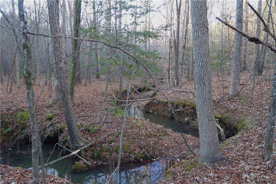2524 Hayes Mill Road Baskerville, VA 23915 - Photo 4 of 50 Gallery Image 4
