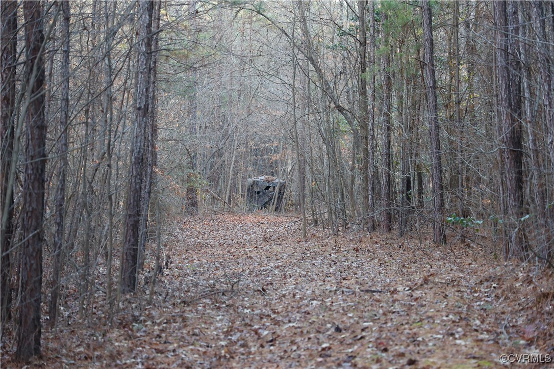 2524 Hayes Mill Road Baskerville, VA 23915 - Photo 41 of 50 Gallery Image 41