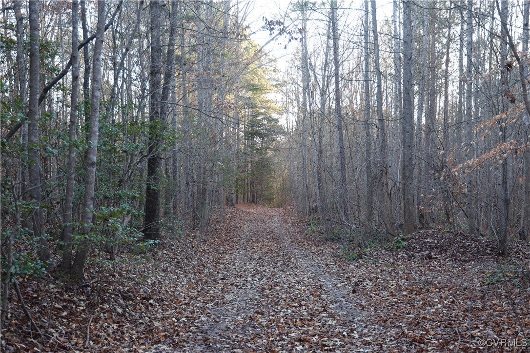 2524 Hayes Mill Road Baskerville, VA 23915 - Photo 42 of 50 Gallery Image 42