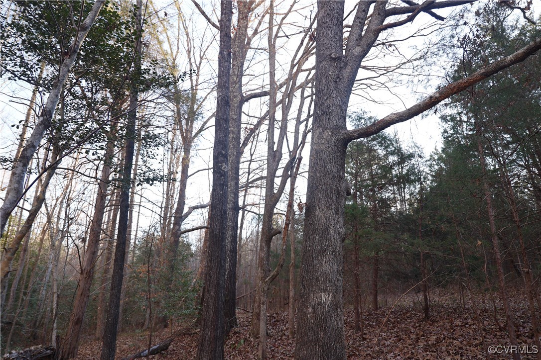 2524 Hayes Mill Road Baskerville, VA 23915 - Photo 43 of 50 Gallery Image 43
