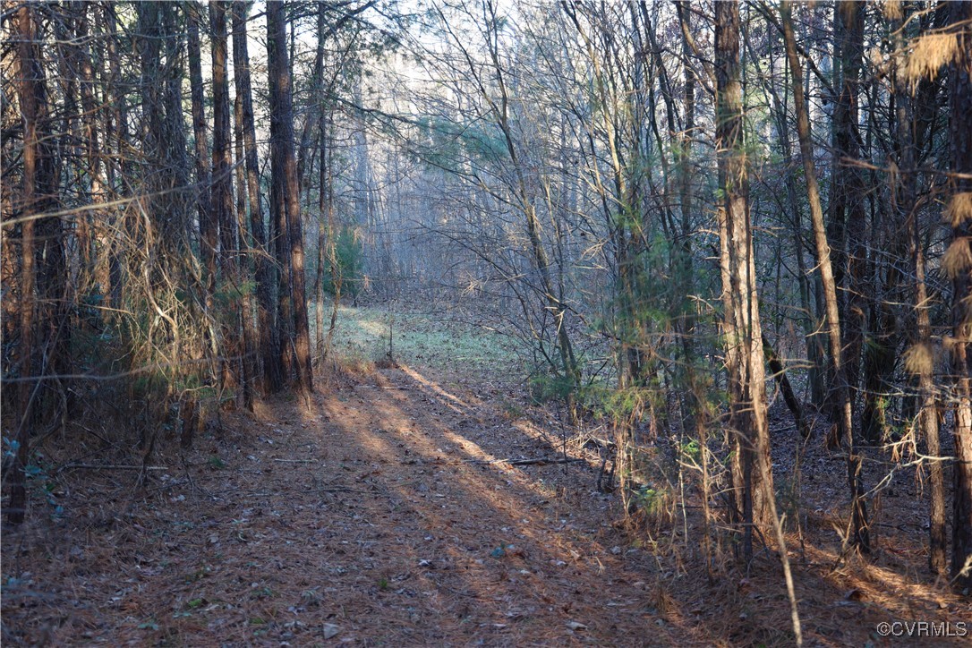 2524 Hayes Mill Road Baskerville, VA 23915 - Photo 45 of 50 Gallery Image 45