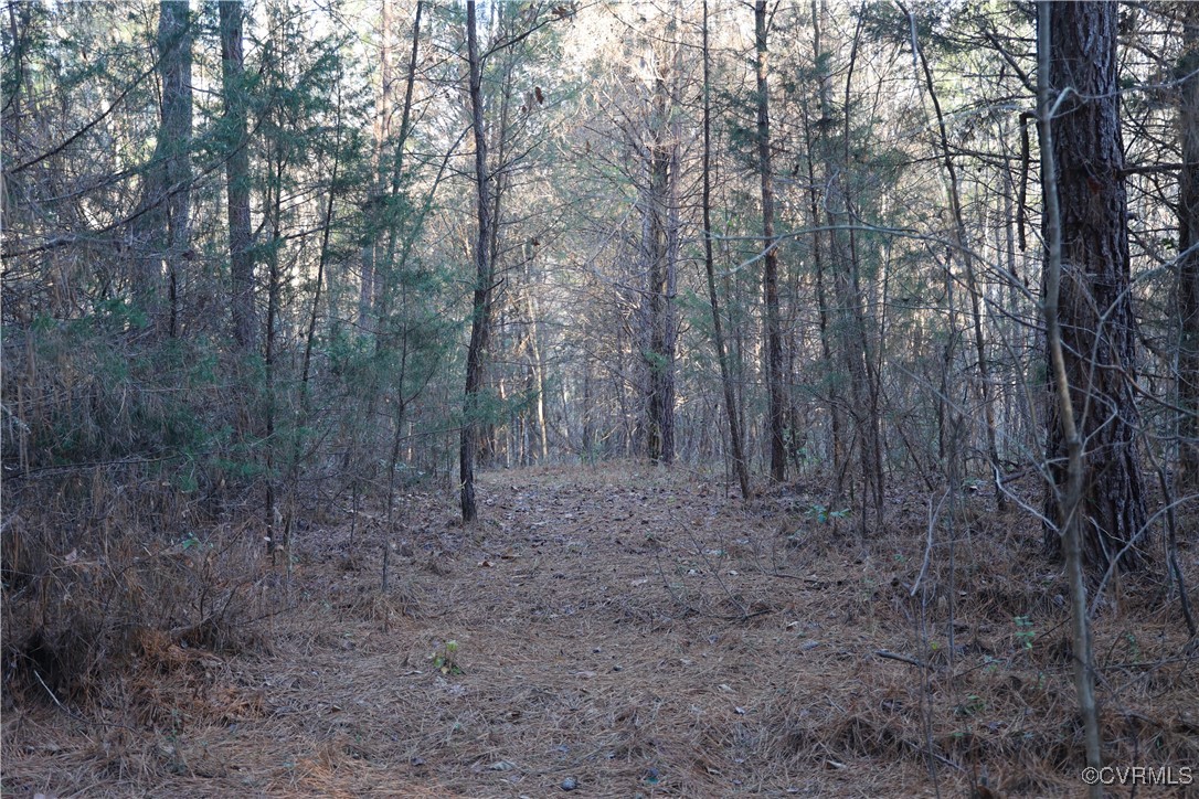 2524 Hayes Mill Road Baskerville, VA 23915 - Photo 46 of 50 Gallery Image 46