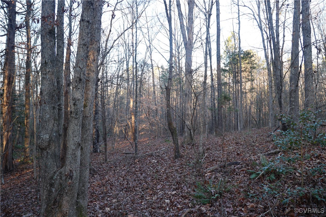 2524 Hayes Mill Road Baskerville, VA 23915 - Photo 47 of 50 Gallery Image 47