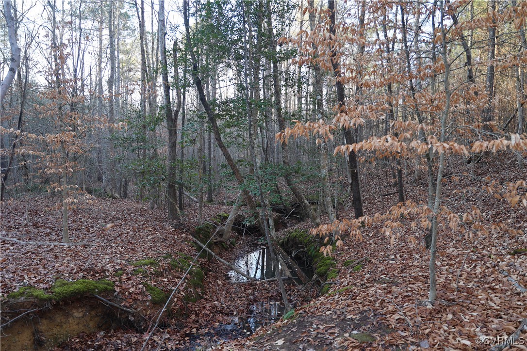 2524 Hayes Mill Road Baskerville, VA 23915 - Photo 49 of 50 Gallery Image 49