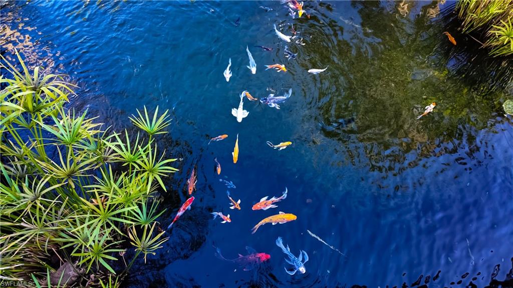8169 Via Vecchia Naples, FL 34108 - Photo 28 of 33 a view of a tree in a yard