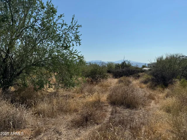 a view of a lake with lots of trees