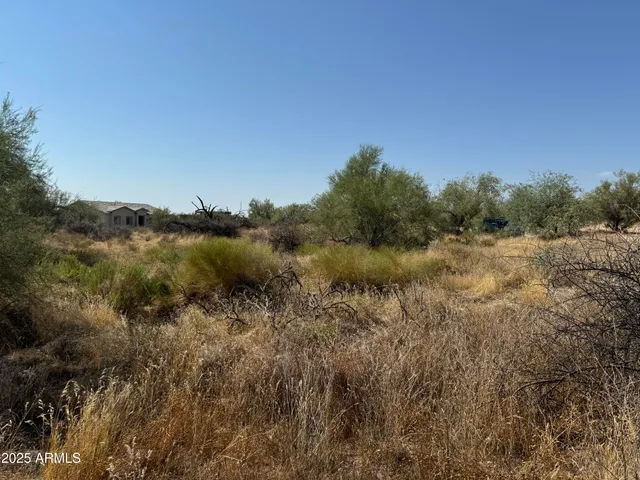 a view of a bunch of trees in a field