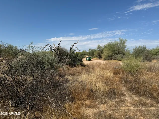 a view of a dry yard with wooden fence