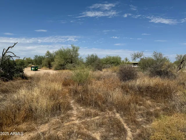 a view of a field of grass and trees