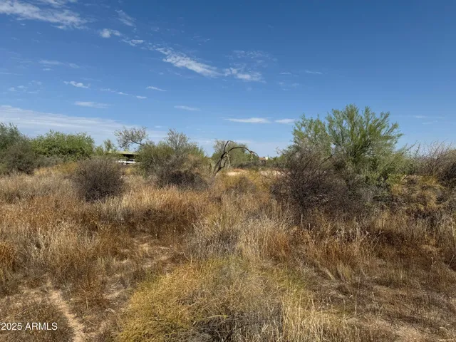 a view of a bunch of trees in a field
