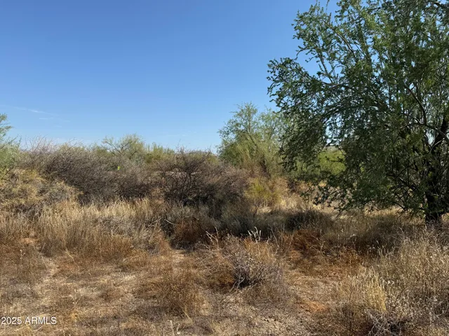 a view of a lake with a tree in the background