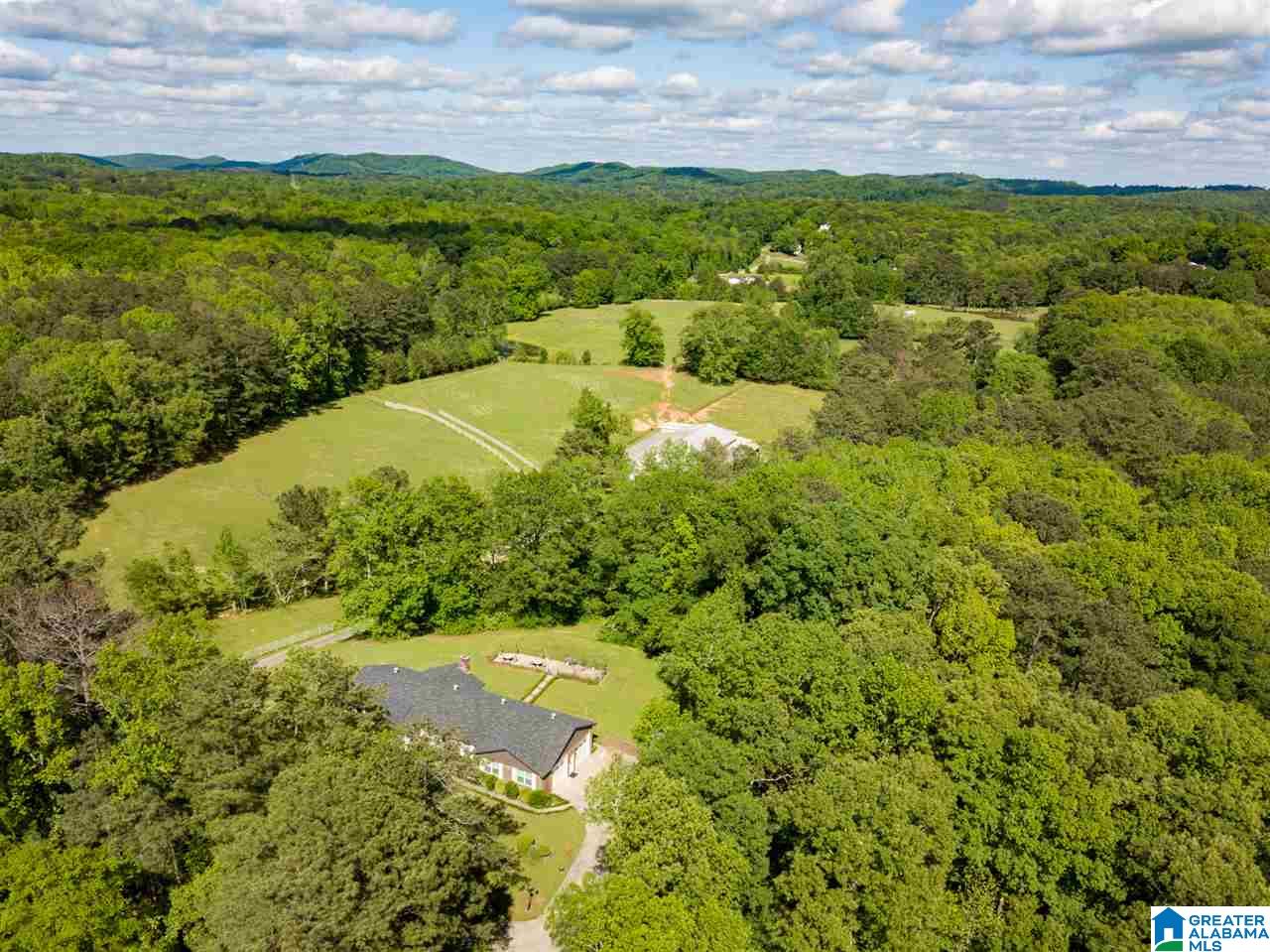 7023 Self Road Pinson, AL 35126 - Photo 5 of 36