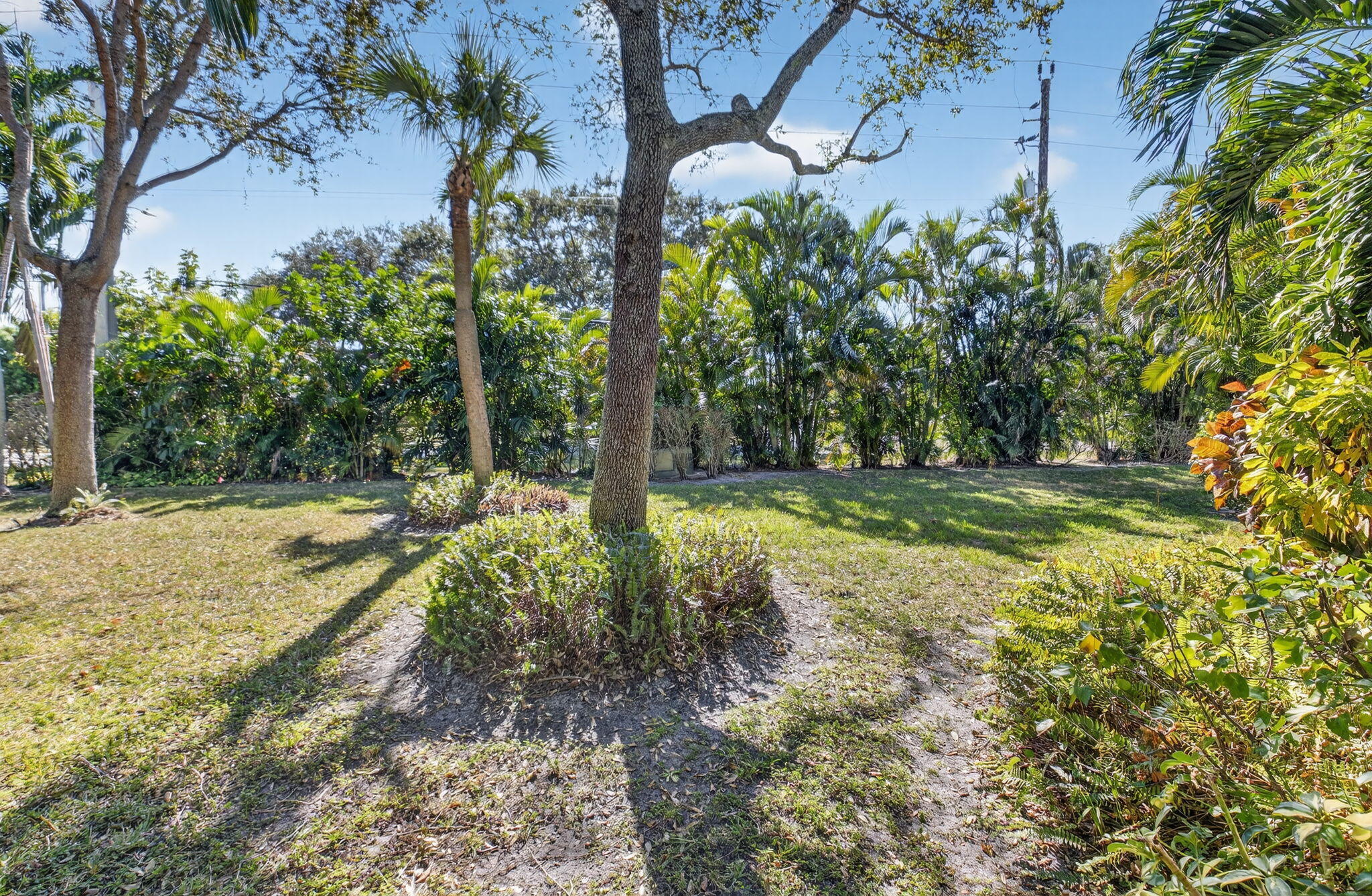 501 Dotterel Road, Unit 26B Delray Beach, FL 33444 - Photo 36 of 48 a view of yard with tree
