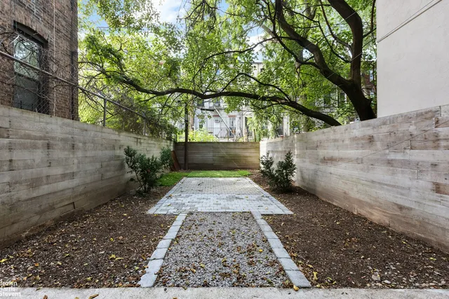 a view of a yard with plants and trees