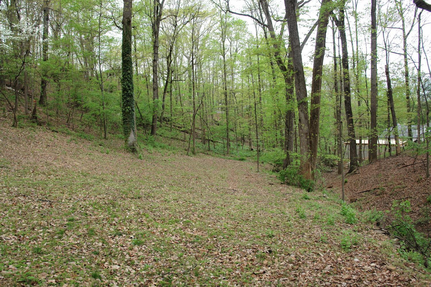 219 Darwin Road Southwest Roanoke, VA 24014 - Photo 57 of 58 a view of outdoor space and green space