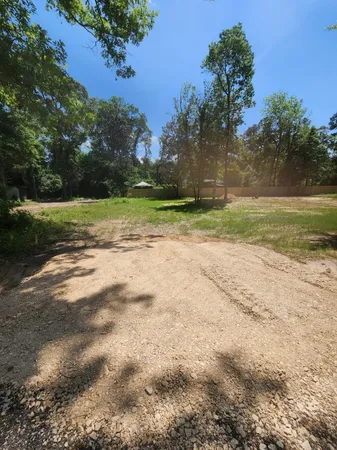 a view of a yard with a tree