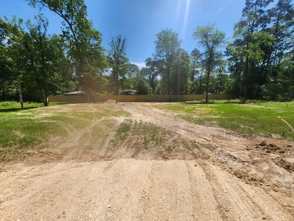 a view of a yard with trees