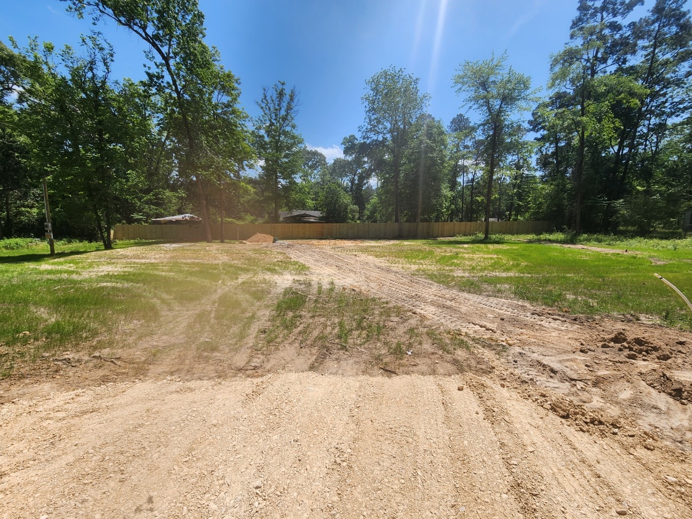 150 Pine Lane Shepherd, TX 77371 - Photo 4 of 13 a view of a yard with trees