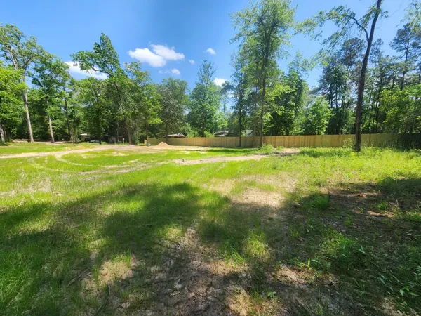a view of a yard with a large trees
