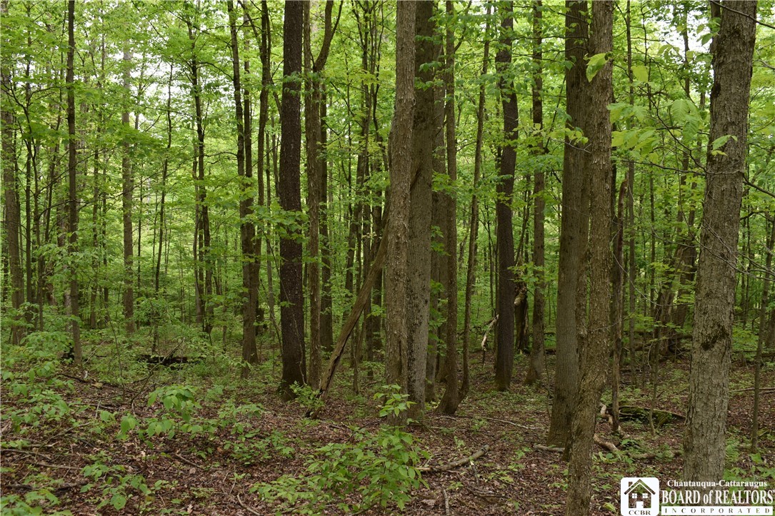 0 Harris Hollow Road Gerry, NY 14740 - Photo 11 of 23