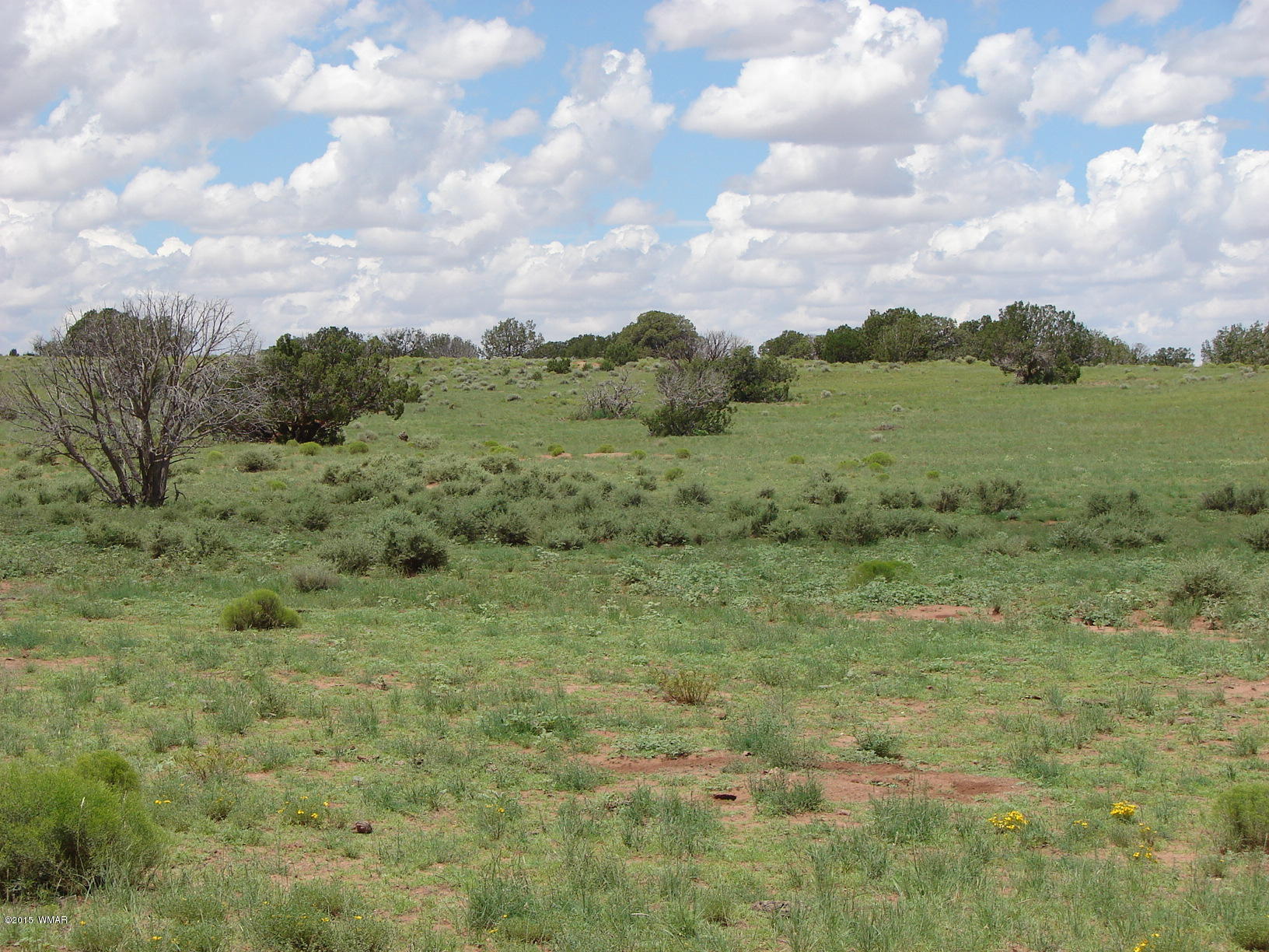 9094 Apache County Road Concho, AZ 85924 - Photo 4 of 5