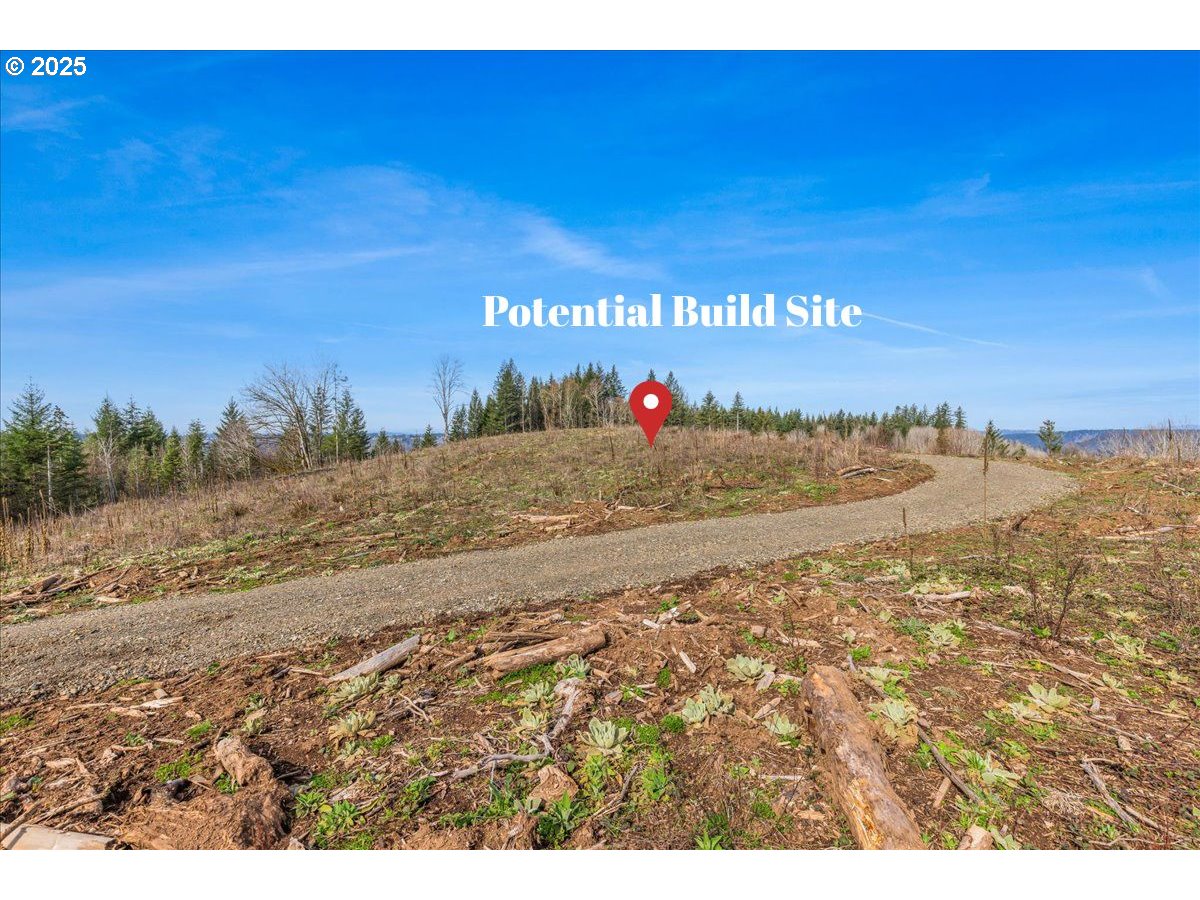0 Southeast Herrick Road Sandy, OR 97055 - Photo 3 of 35 Gallery Image 3