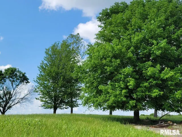 $350,000 | 470 Washington Lane, New Burnside, IL 62967