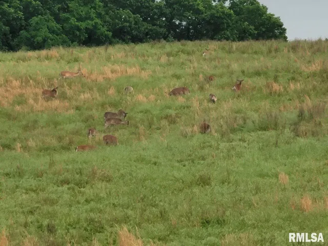 $350,000 | 470 Washington Lane, New Burnside, IL 62967