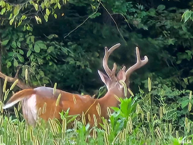 $350,000 | 470 Washington Lane, New Burnside, IL 62967