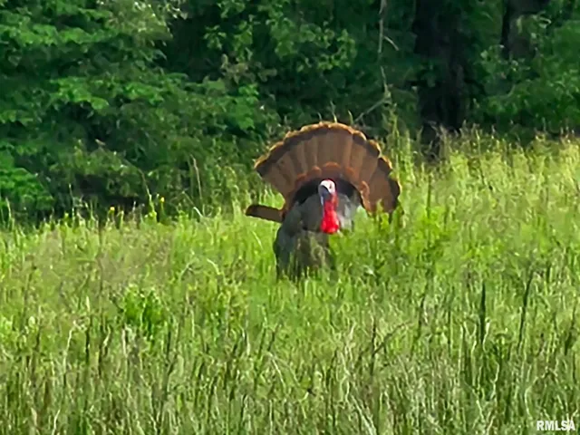 $350,000 | 470 Washington Lane, New Burnside, IL 62967