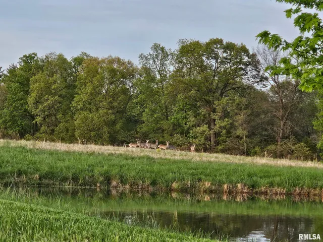 $350,000 | 470 Washington Lane, New Burnside, IL 62967