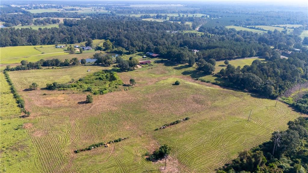 Tbd Bennie Morris Road Mount Hermon, LA 70450 - Photo 2 of 17